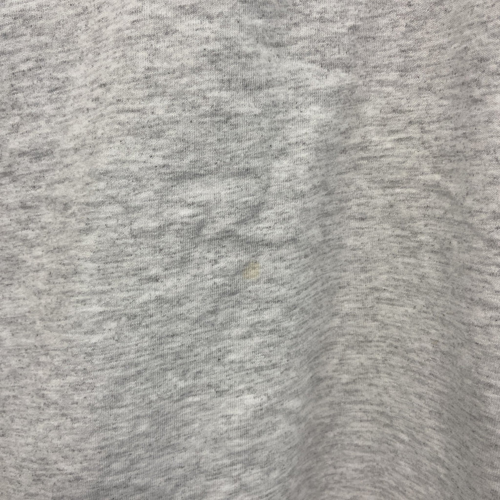 ～00s　RUSSELL　ラッセル　NFL　PANTHERS　パンサーズ　長袖Tシャツ/ロンT　ヴィンテージ　灰色　グレー　XLサイズ