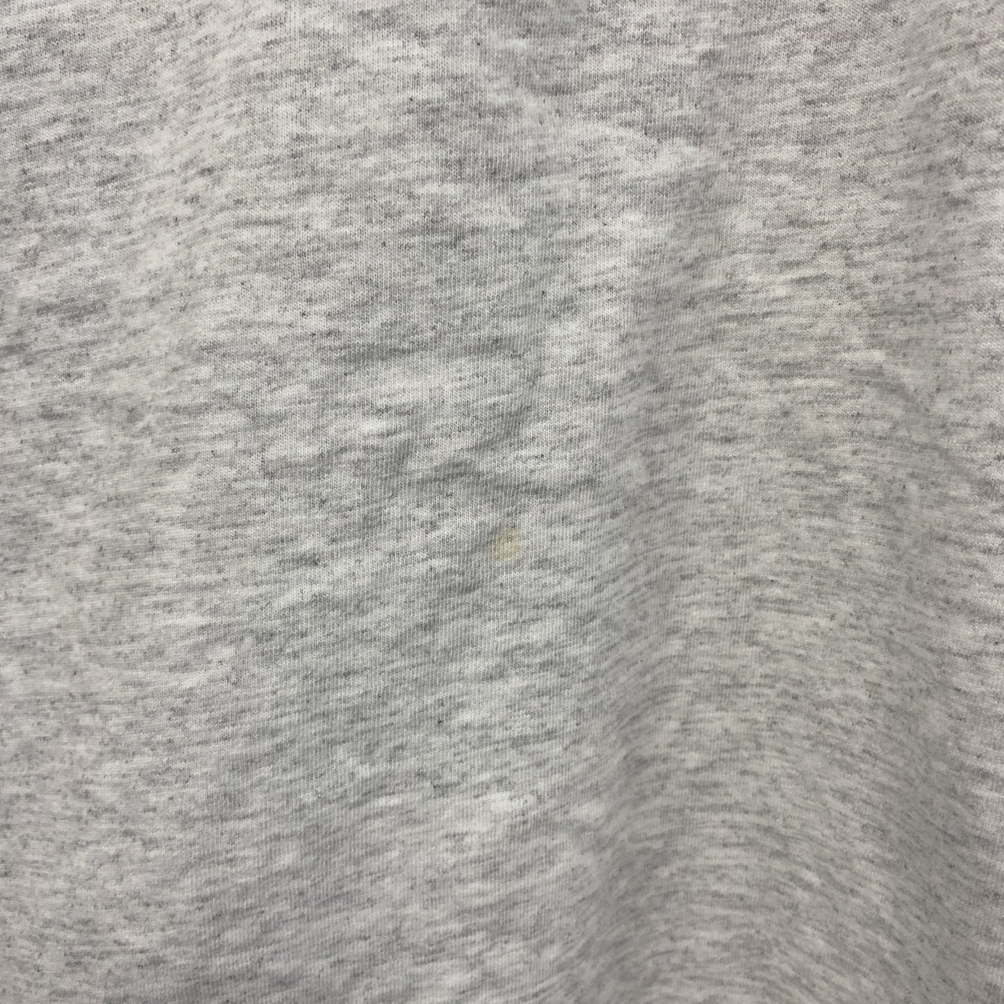 ～00s　RUSSELL　ラッセル　NFL　PANTHERS　パンサーズ　長袖Tシャツ/ロンT　ヴィンテージ　灰色　グレー　XLサイズ