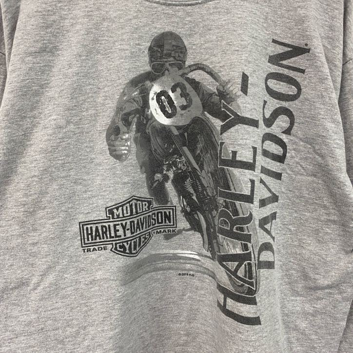 HARLEY DAVIDSON　ハーレーダビッドソン　長袖プリントTシャツ　グレー　Lサイズ