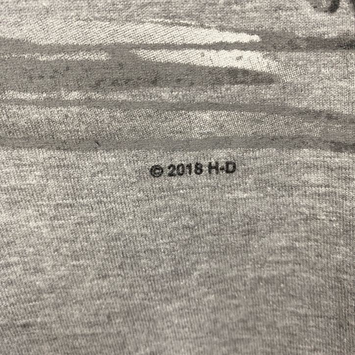 HARLEY DAVIDSON　ハーレーダビッドソン　長袖プリントTシャツ　グレー　Lサイズ
