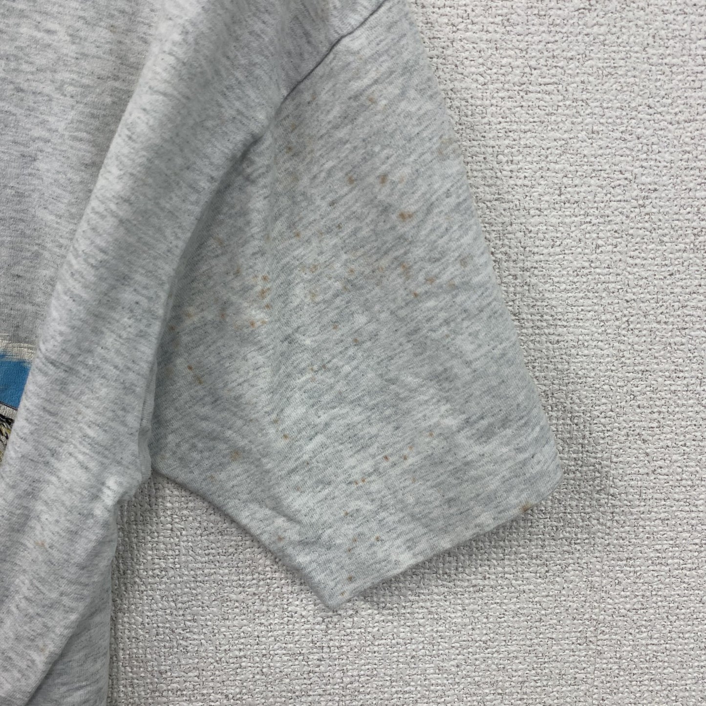 80s　SCREEN STARS BEST　半袖プリントTシャツ　ペリカン　ヴィンテージ　霜降りグレー　Lサイズ　