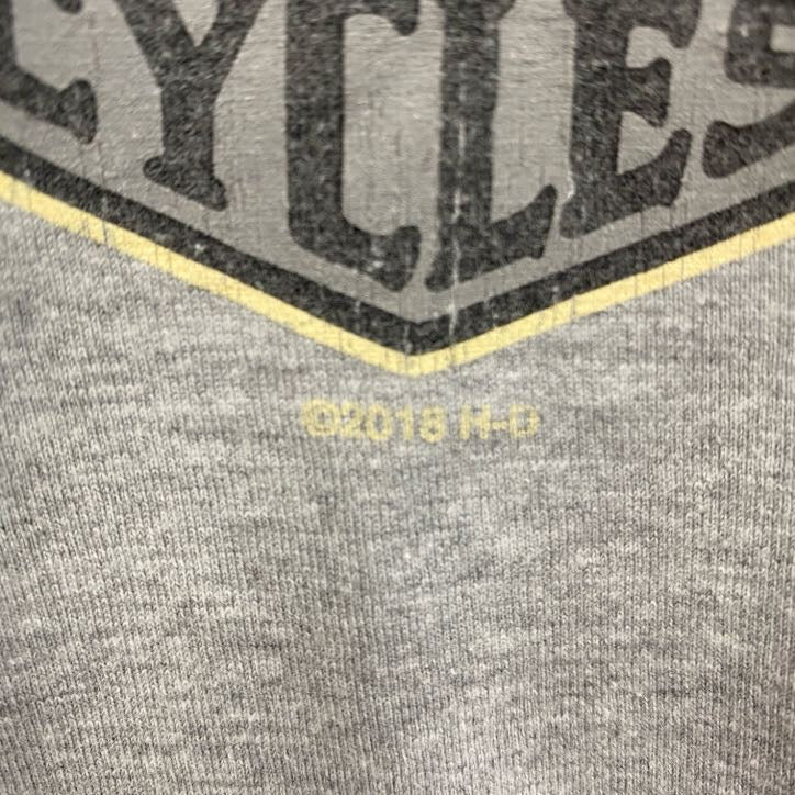 HARLEY DAVIDSON　ハーレーダビッドソン　長袖プリントTシャツ　グレー　Lサイズ