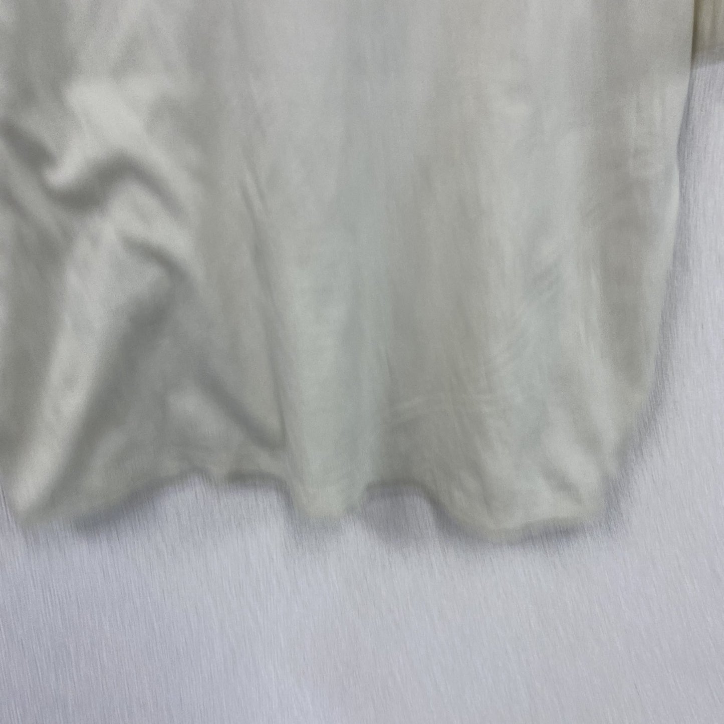 90s　Hanes　ヘインズ　半袖プリントTシャツ　アニマルT　鳥　ヴィンテージ　白　ホワイト　XLサイズ