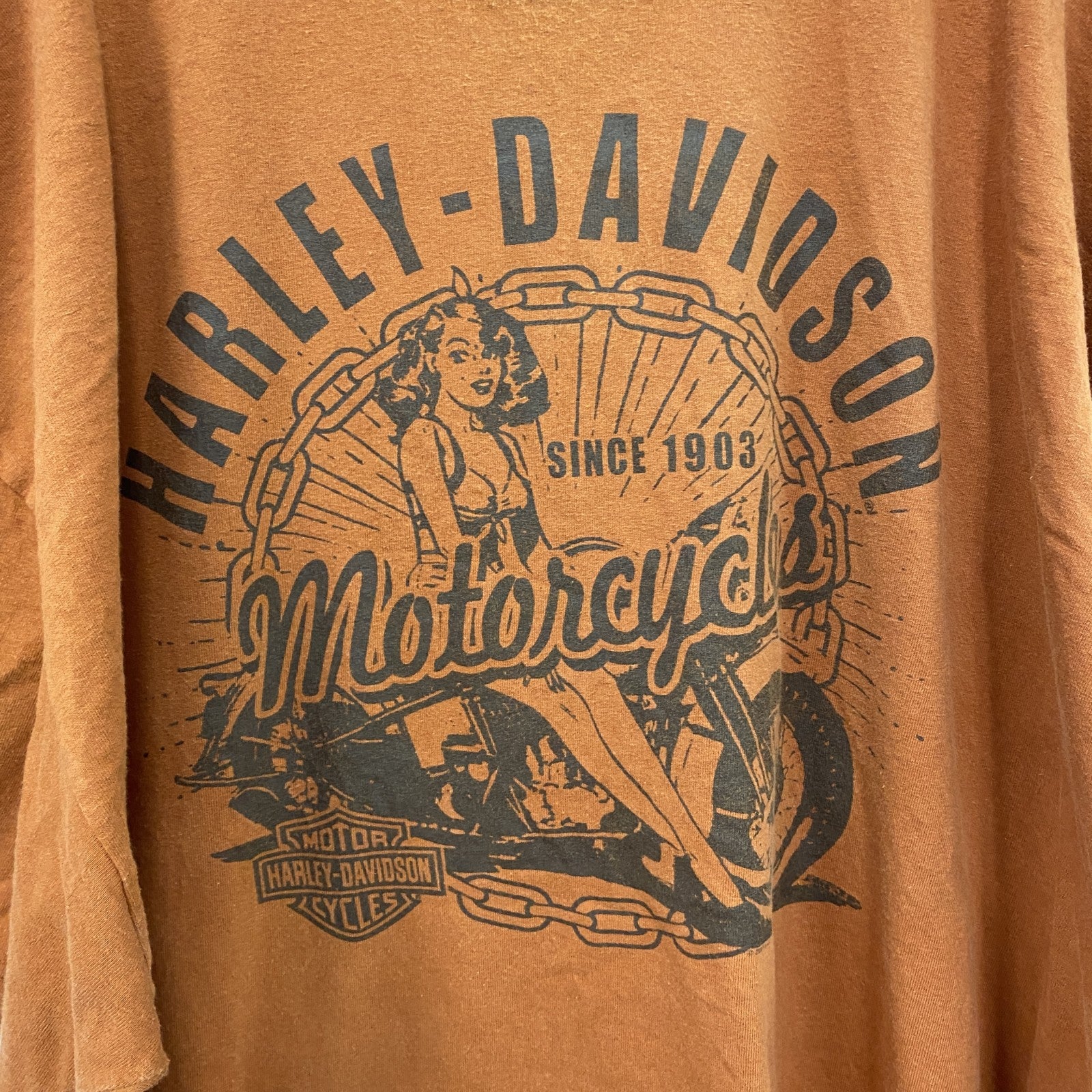 00s　HARLEY DAVIDSON　ハーレーダビッドソン　半袖プリントTシャツ　オレンジ　XXXLサイズ