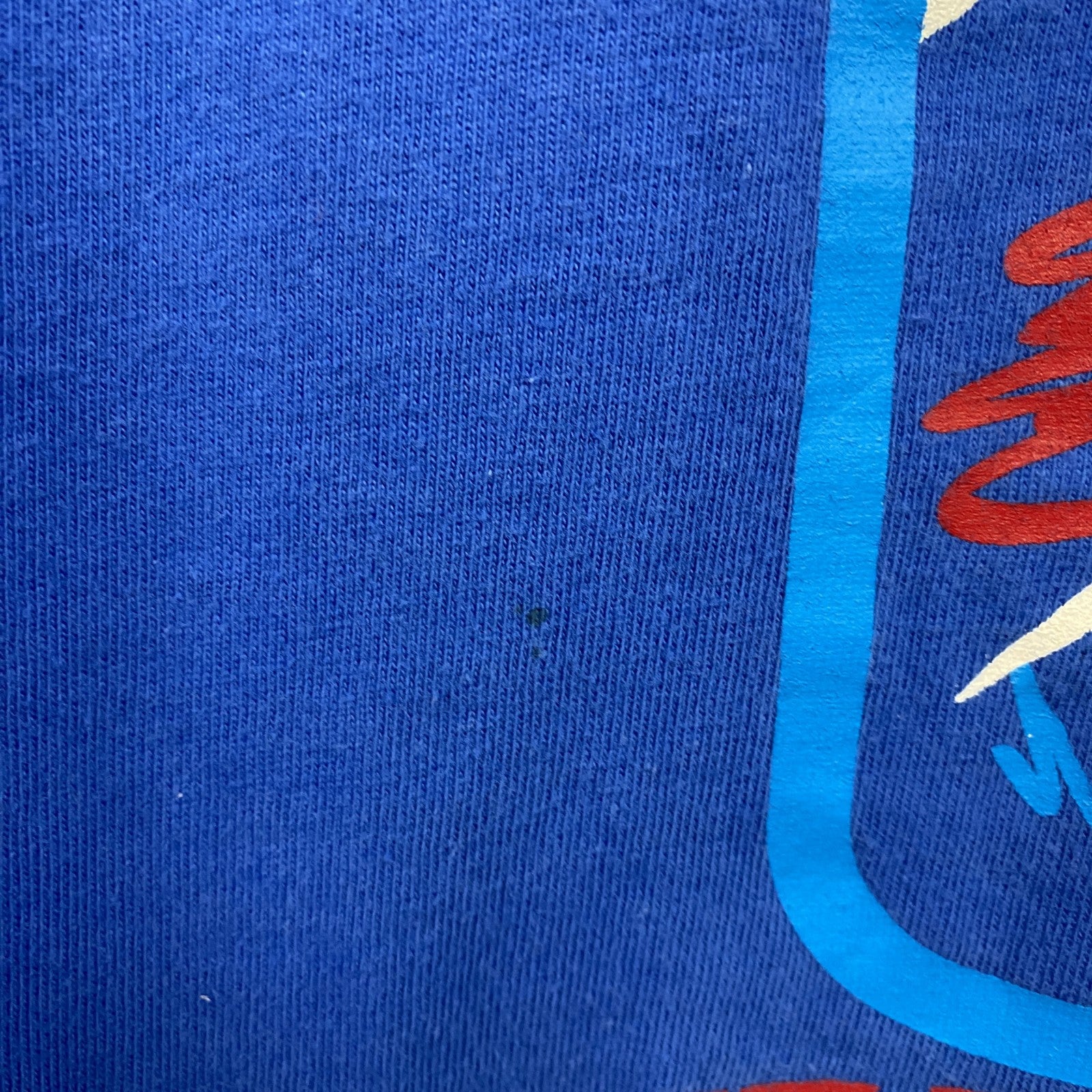 90s　Hanes　ヘインズ　長袖Tシャツ　ヴィンテージ　トライアスロン　青　ブルー　Lサイズ