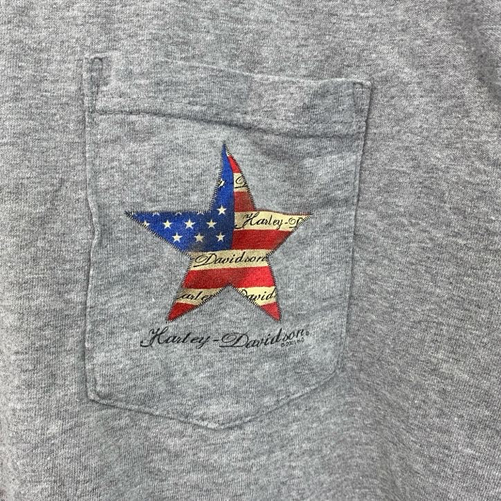 00s　HARLEY DAVIDSON　ハーレーダビッドソン　半袖プリントTシャツ　灰　グレー　Lサイズ