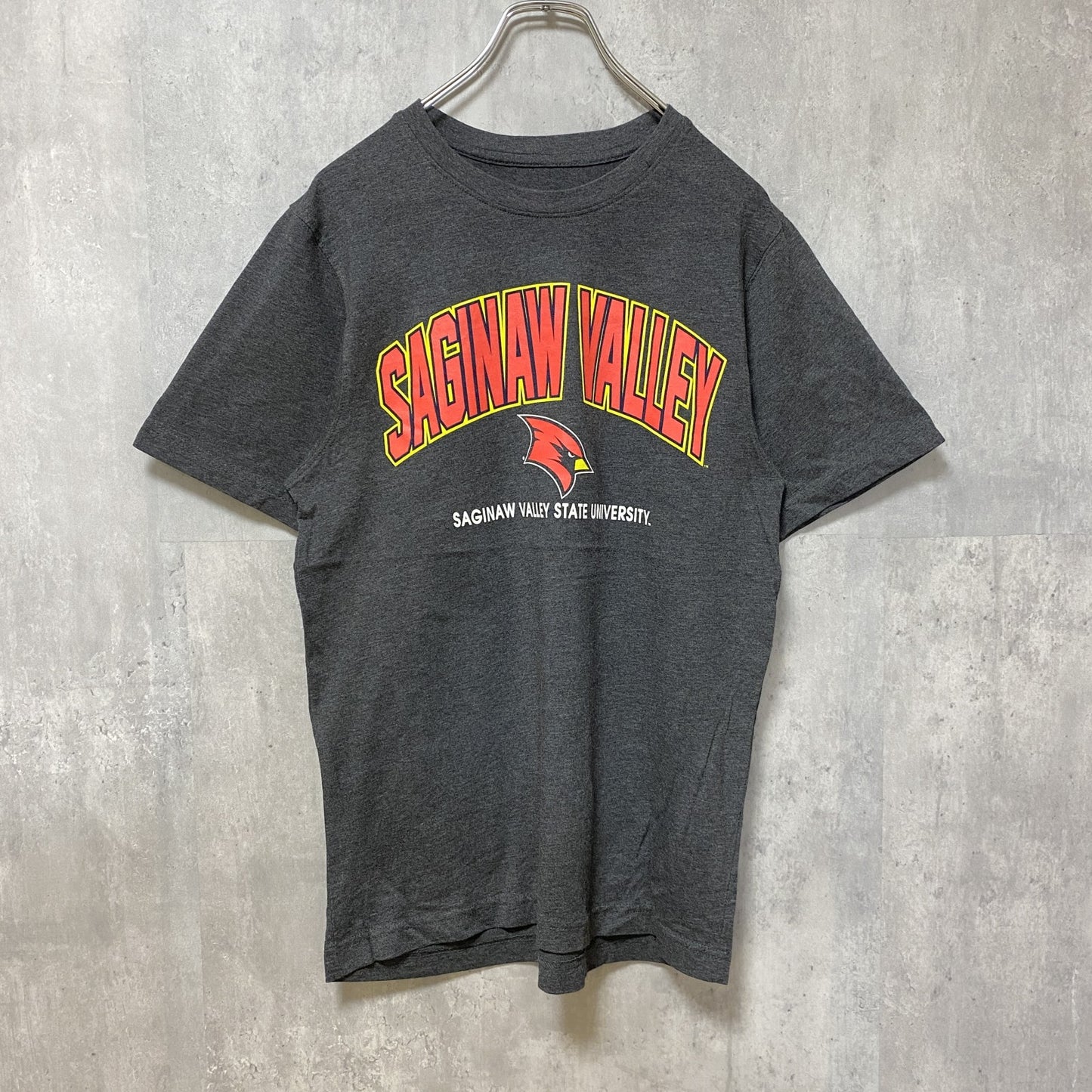 古着 used　サギノーバレー州立大学　半袖カレッジプリントTシャツ　ダークグレー　レトロデザイン　クルーネック　Sサイズ