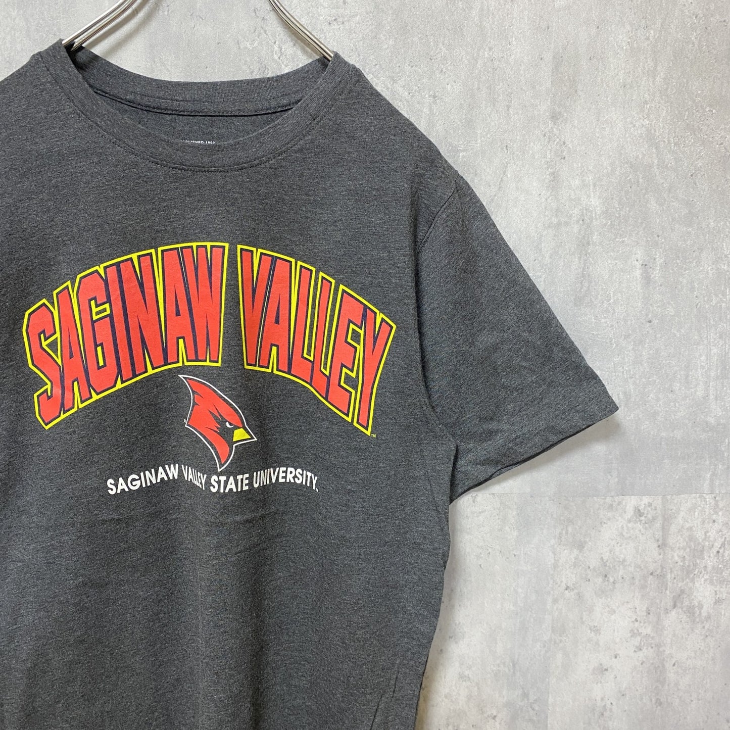 古着 used　サギノーバレー州立大学　半袖カレッジプリントTシャツ　ダークグレー　レトロデザイン　クルーネック　Sサイズ