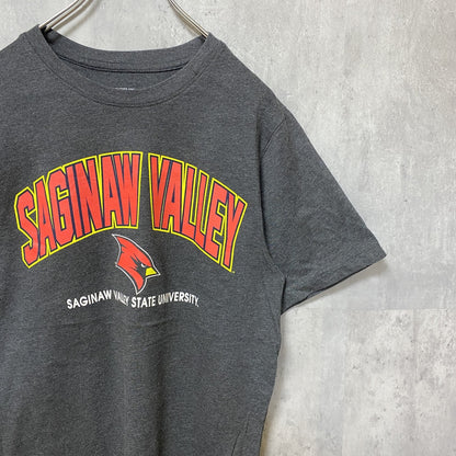 古着 used　サギノーバレー州立大学　半袖カレッジプリントTシャツ　ダークグレー　レトロデザイン　クルーネック　Sサイズ