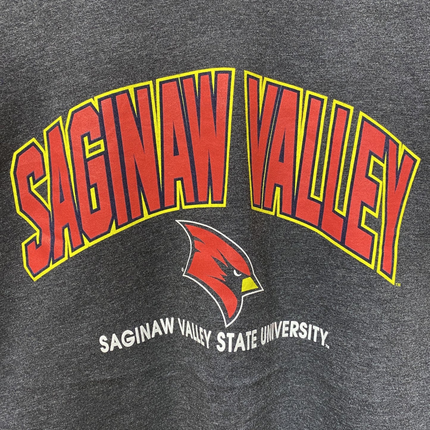 古着 used　サギノーバレー州立大学　半袖カレッジプリントTシャツ　ダークグレー　レトロデザイン　クルーネック　Sサイズ