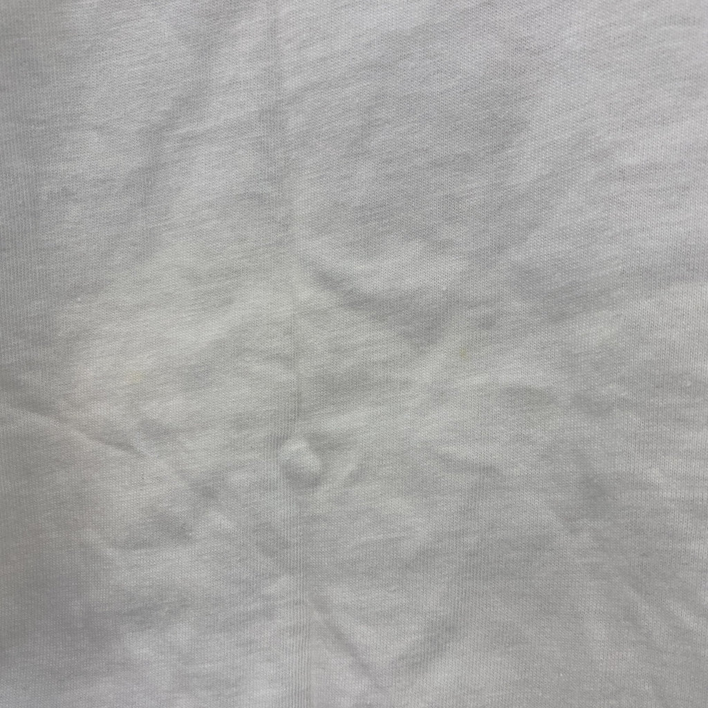 90s　Hanes　ヘインズ　半袖プリントイラストTシャツ　ロサンゼルス　シングルステッチ　ヴィンテージ　白　ホワイト　Mサイズ