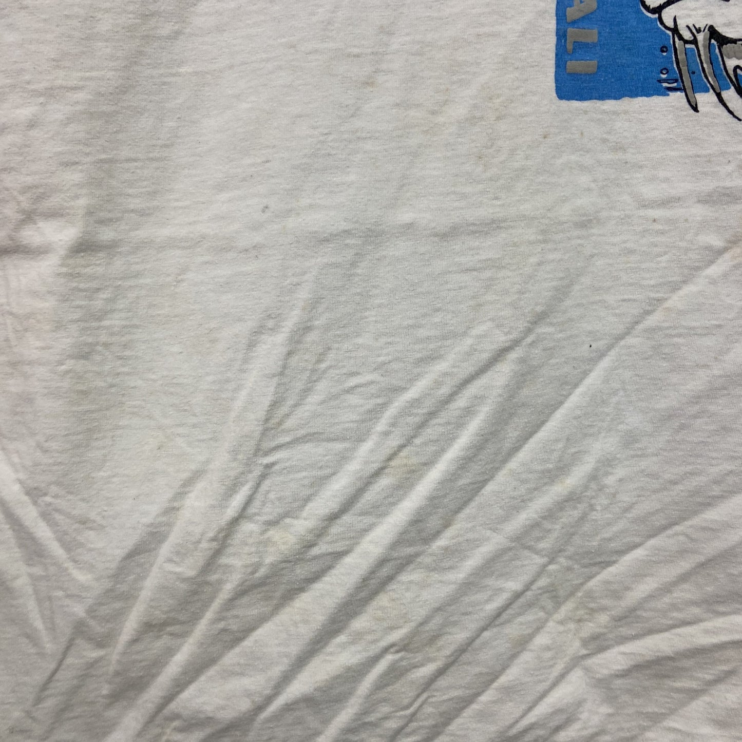 ～00s　RADIAL　半袖プリントTシャツ　BULL DOG FISH　ヴィンテージ　白　ホワイト