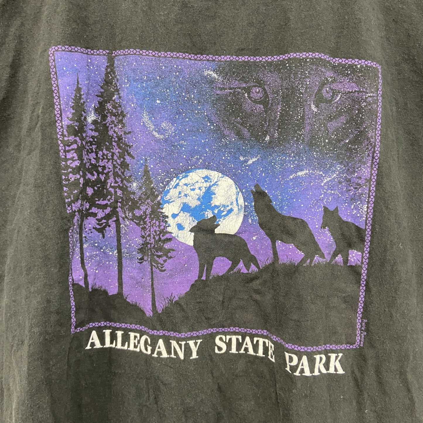 90s　Prairie Mountain　半袖プリントTシャツ　シングルステッチ　黒　ブラック　XXLサイズ