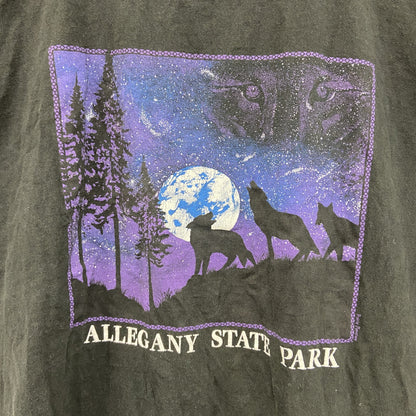 90s　Prairie Mountain　半袖プリントTシャツ　シングルステッチ　黒　ブラック　XXLサイズ