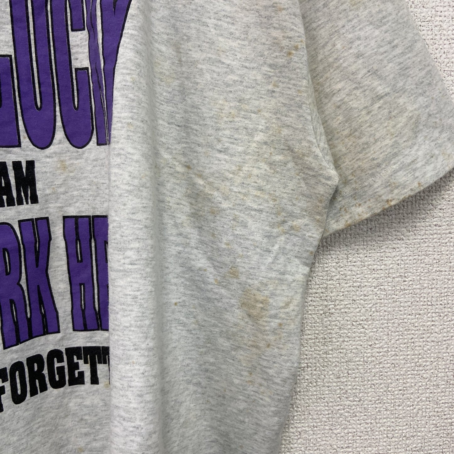 80s～　FRUIT OF THE LOOM　半袖プリントTシャツ　シングルステッチ　霜降りグレー　Lサイズ