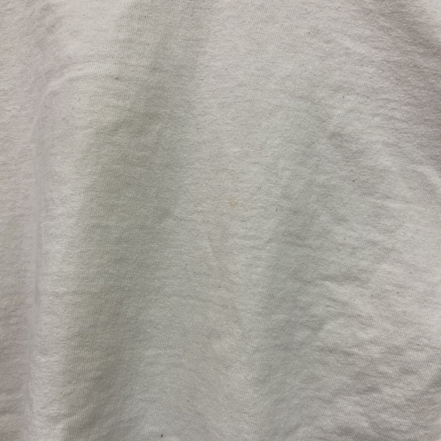 90s～　SEASONS　半袖プリントTシャツ　ORCAS　ヴィンテージ　白　ホワイト　Lサイズ