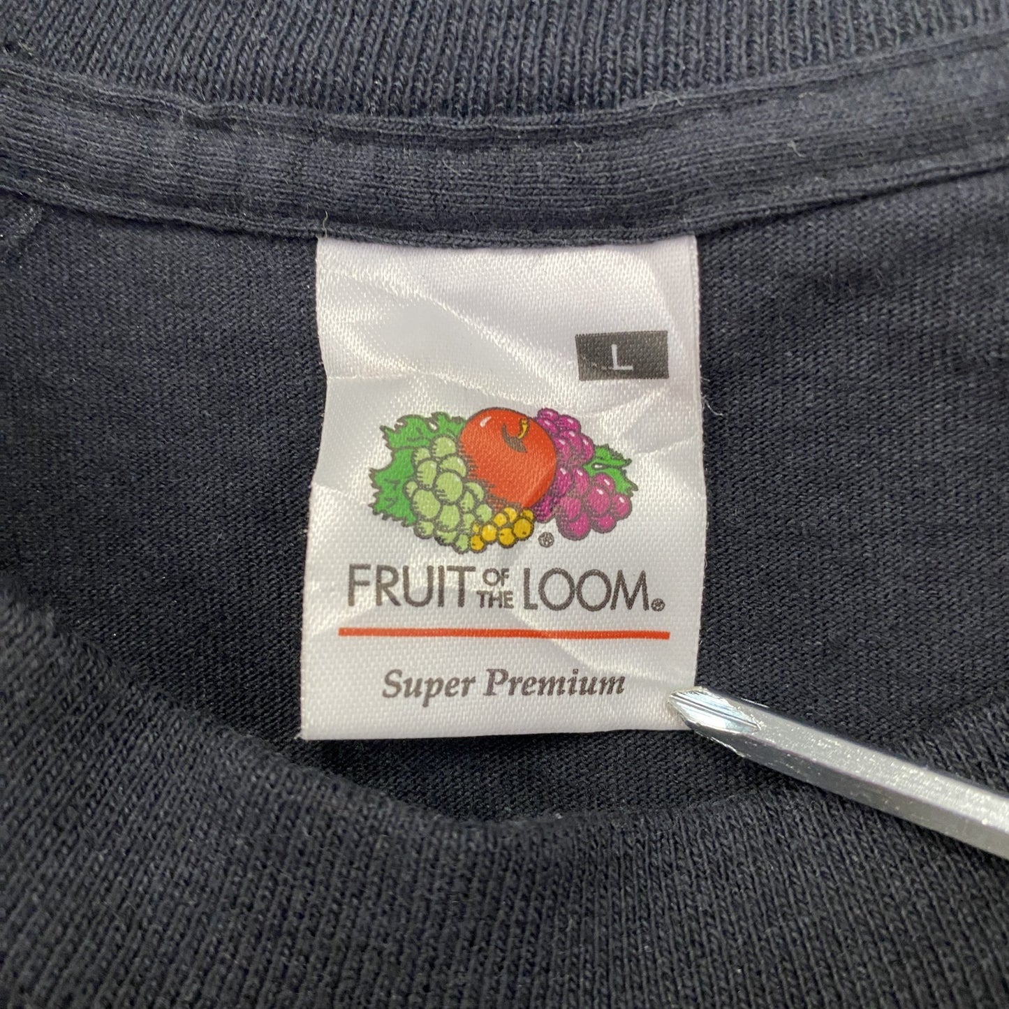 FRUIT OF THE LOOM　DARKSKY　半袖Tシャツ　バンドT　ツアーT　サイン入り　ブラック　Lサイズ