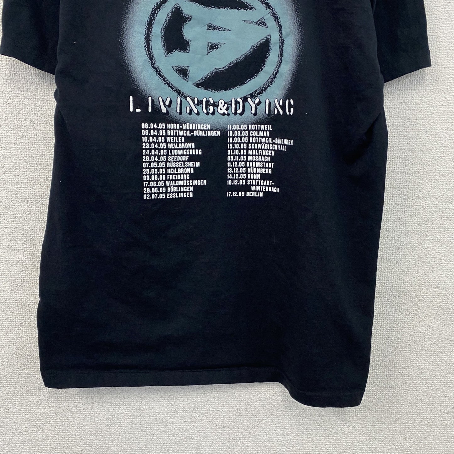 FRUIT OF THE LOOM　DARKSKY　半袖Tシャツ　バンドT　ツアーT　サイン入り　ブラック　Lサイズ