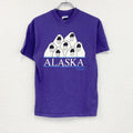 90s　Hanes　ヘインズ　半袖Tシャツ　ヴィンテージ　シングルステッチ　紫　パープル　Mサイズ
