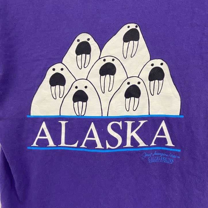 90s　Hanes　ヘインズ　半袖Tシャツ　ヴィンテージ　シングルステッチ　紫　パープル　Mサイズ