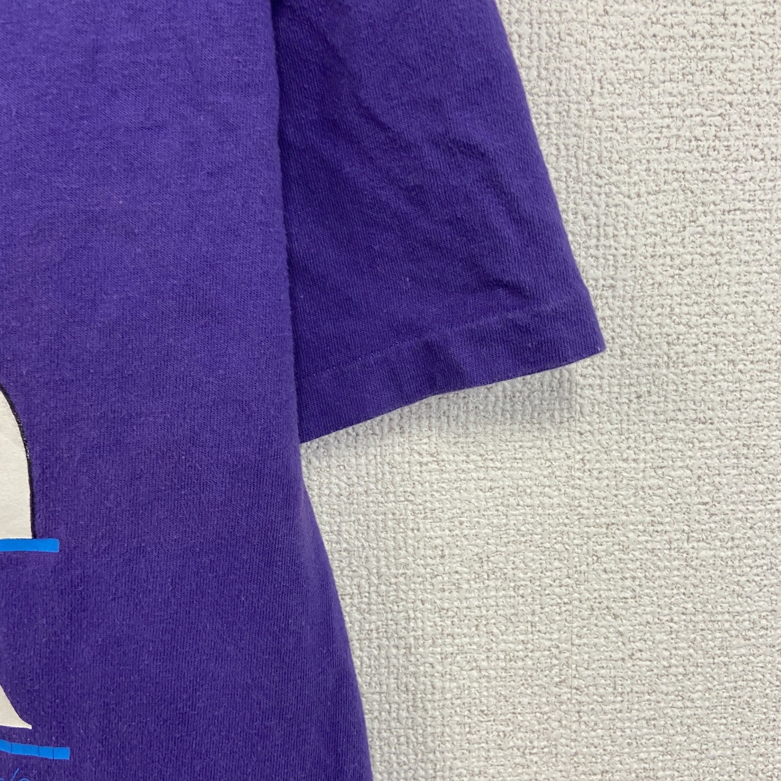 90s　Hanes　ヘインズ　半袖Tシャツ　ヴィンテージ　シングルステッチ　紫　パープル　Mサイズ