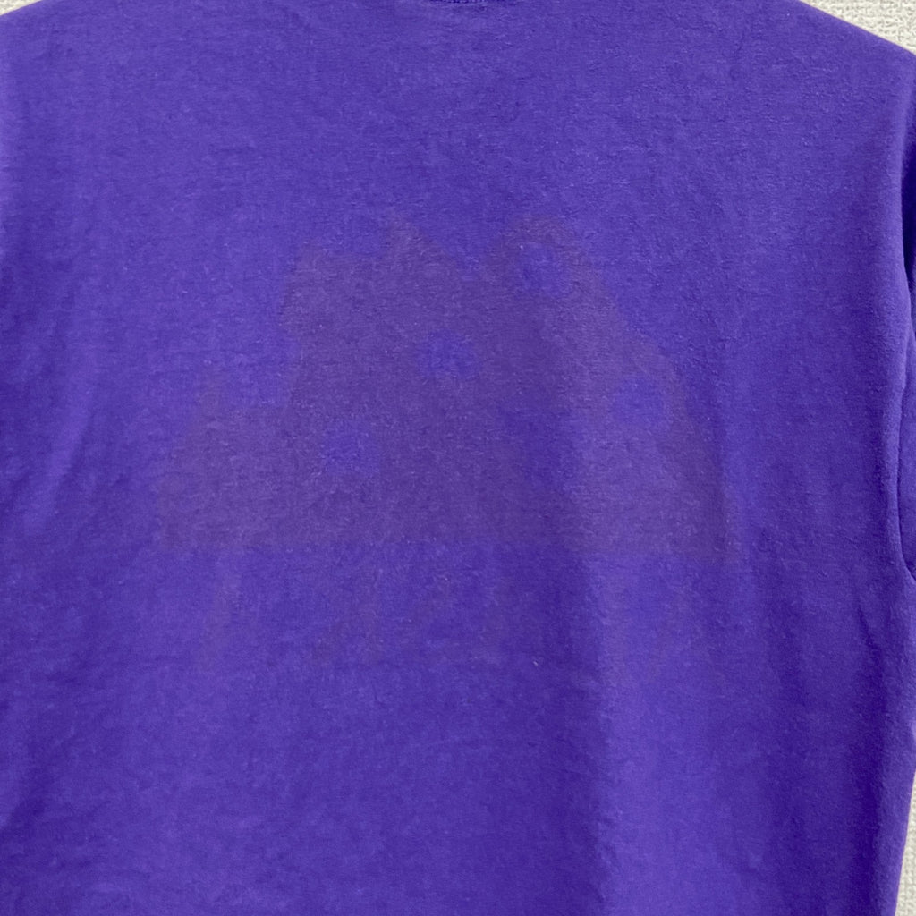 90s　Hanes　ヘインズ　半袖Tシャツ　ヴィンテージ　シングルステッチ　紫　パープル　Mサイズ