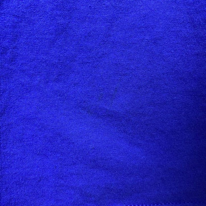 古着 used　RUSSELL　EASTERN ILLINOIS UNIVERSITY 大学　半袖カレッジプリントTシャツ　青