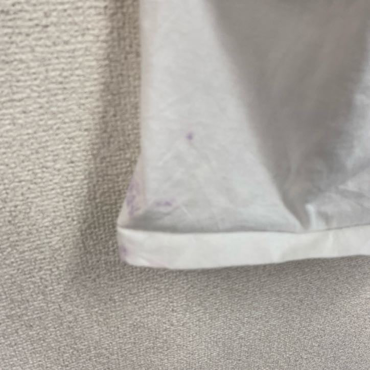 90s　Hanes　ヘインズ　半袖プリントTシャツ　ヴィンテージ　シングルステッチ　白　ホワイト　Lサイズ