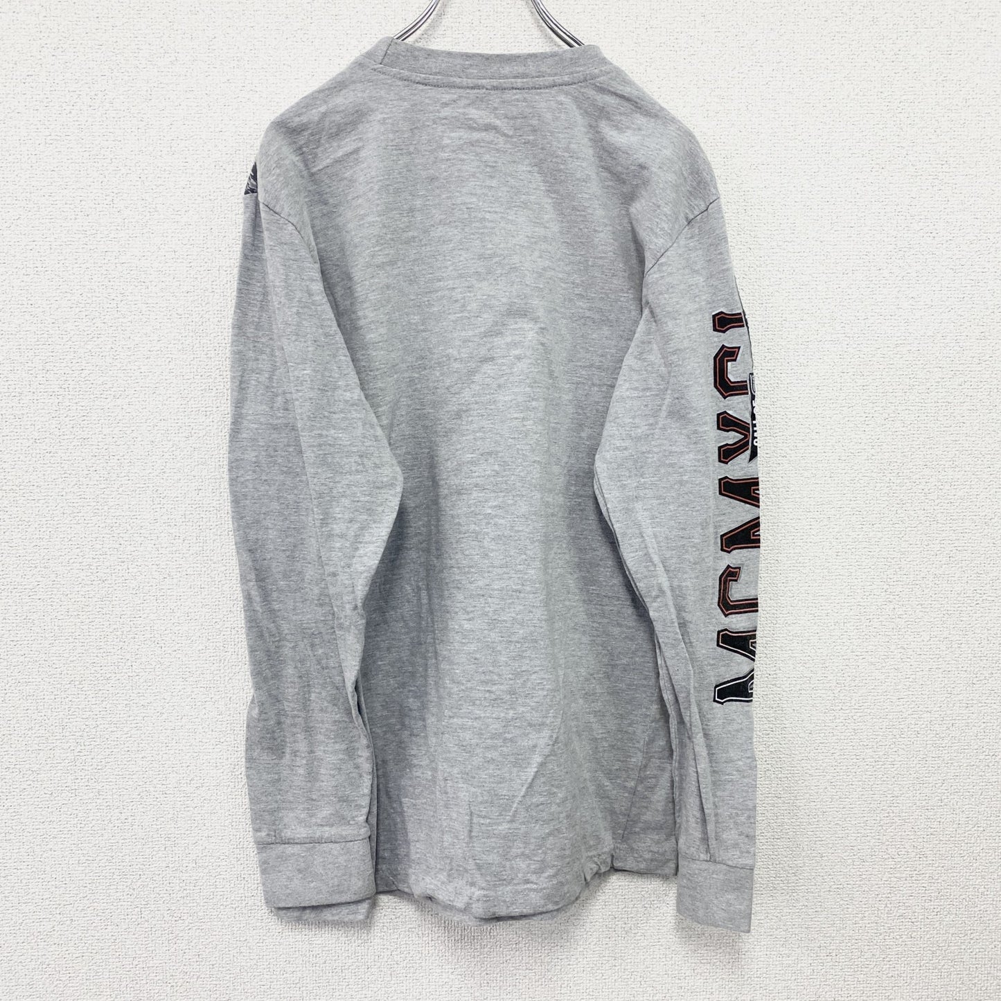 SOUTHPOLE　サウスポール　長袖Tシャツ/ロンT　灰色　グレー　Mサイズ