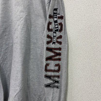 SOUTHPOLE　サウスポール　長袖Tシャツ/ロンT　灰色　グレー　Mサイズ