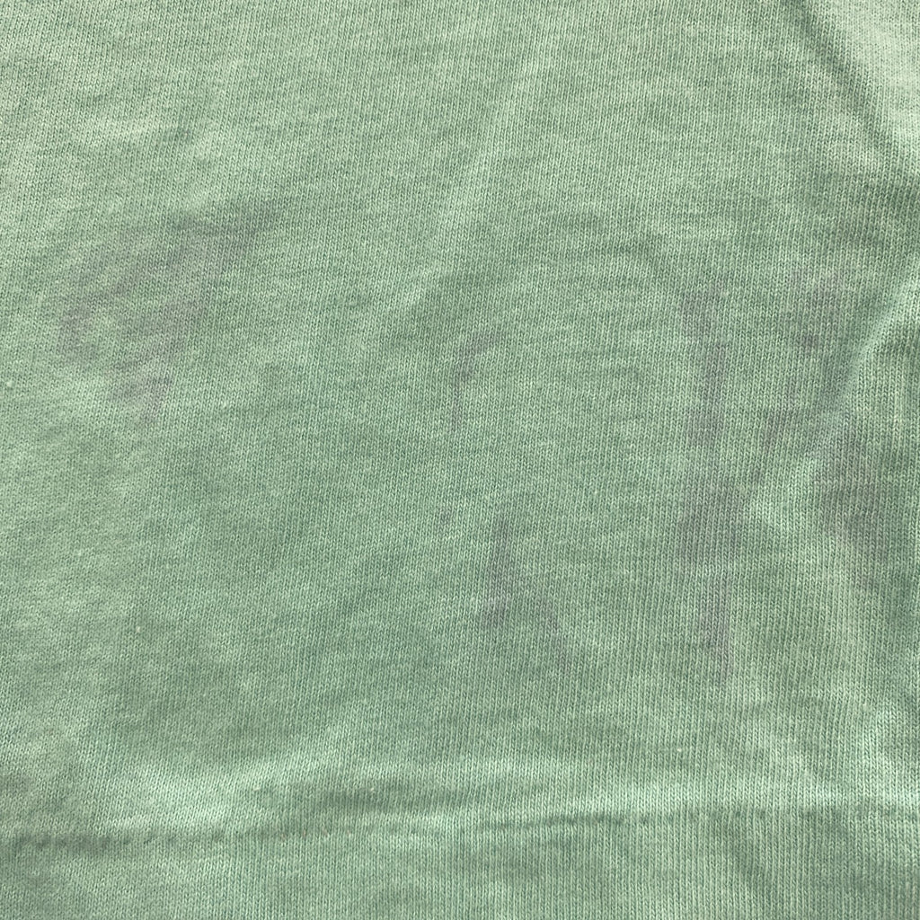 90s　Naturals　半袖プリントTシャツ　ヴィンテージ　シングルステッチ　ミントグリーン　Lサイズ